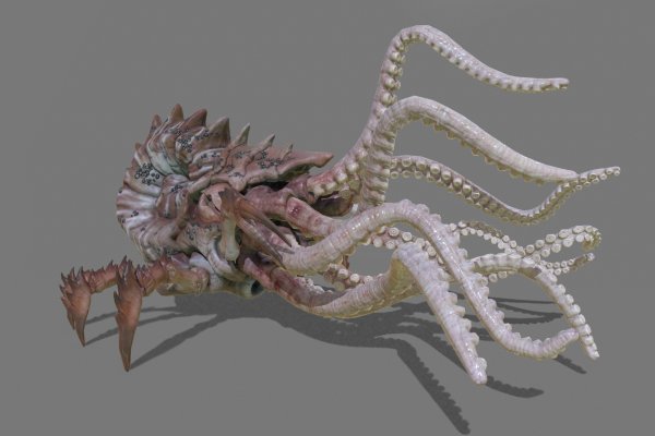Kraken сайт kraken torion