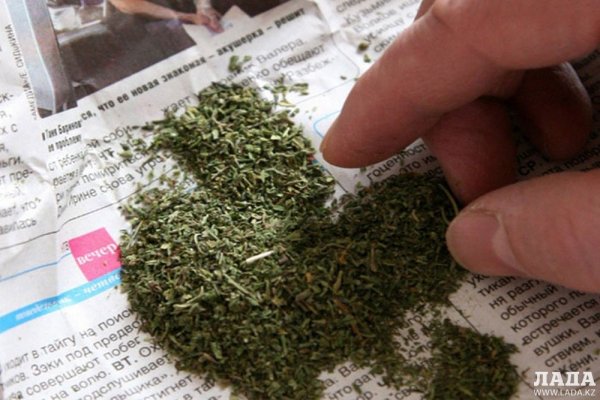 Kraken рабочее зеркало