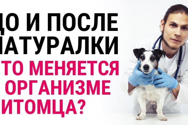 Ссылка на кракен тор kr2web in